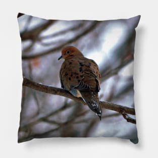 Winter Mourning Dove Perched In a Tree Pillow