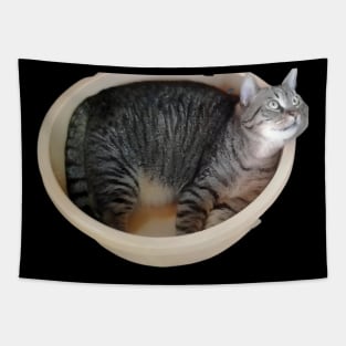 Gray Kitty- cute cat design Tapestry