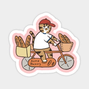 funny Cat and bicycle Magnet