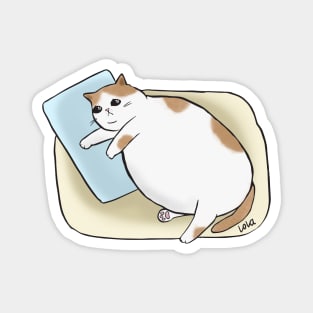 Sad Chonk Magnet