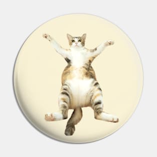 Kitty With Open Arms Pin