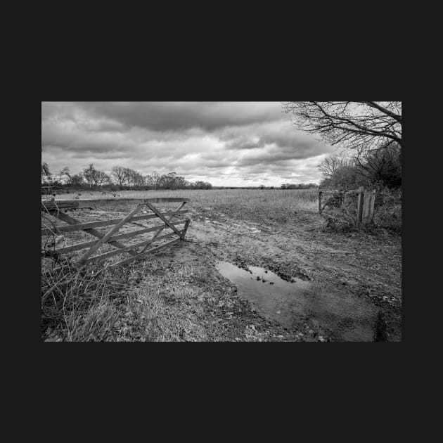 Wooden gate entrance to an arable field in the English countryside by yackers1