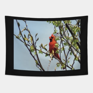 Happy Cardinal Singing Tapestry