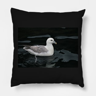 All at sea Pillow