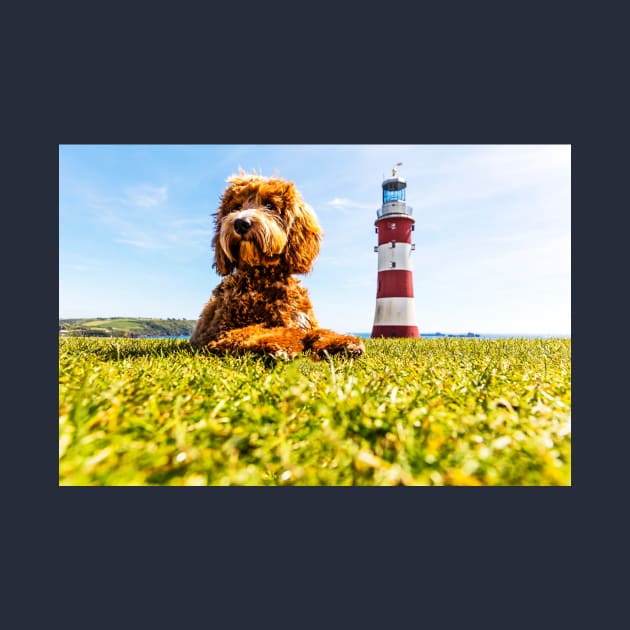 Dog As Big As A Lighthouse by tommysphotos