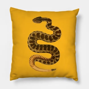 serpent,cobra,reptile,viper,venom,lizard,rattlesnake,king cobra Pillow