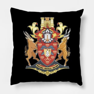 Pretoria Pillow