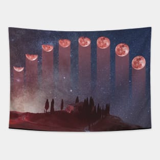 RAINY MOONS Tapestry