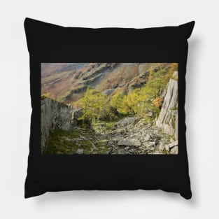 Castle Crag Quarry Pillow