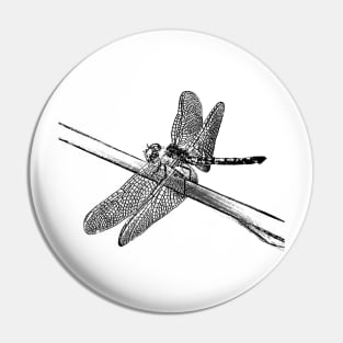 Dragonfly Pin