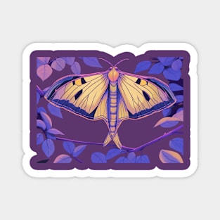 chinese moon moth Magnet