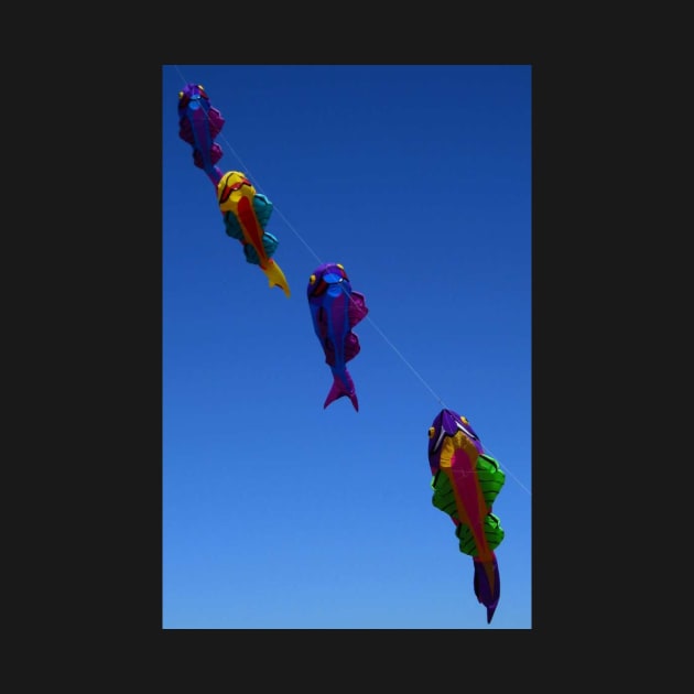 Berkeley Kite Festival by IgorPozdnyakov