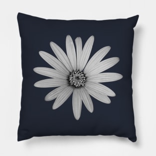 African Daisy Flower Black and White Pillow