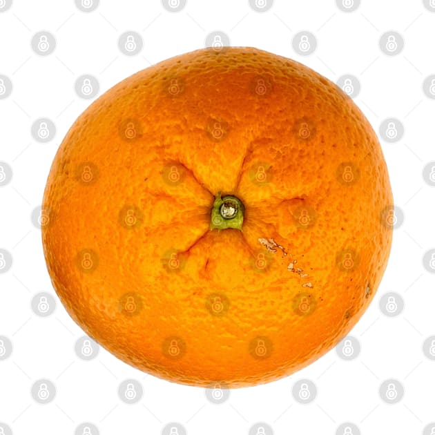 Fruit, Fresh Orange by badlydrawnbabe