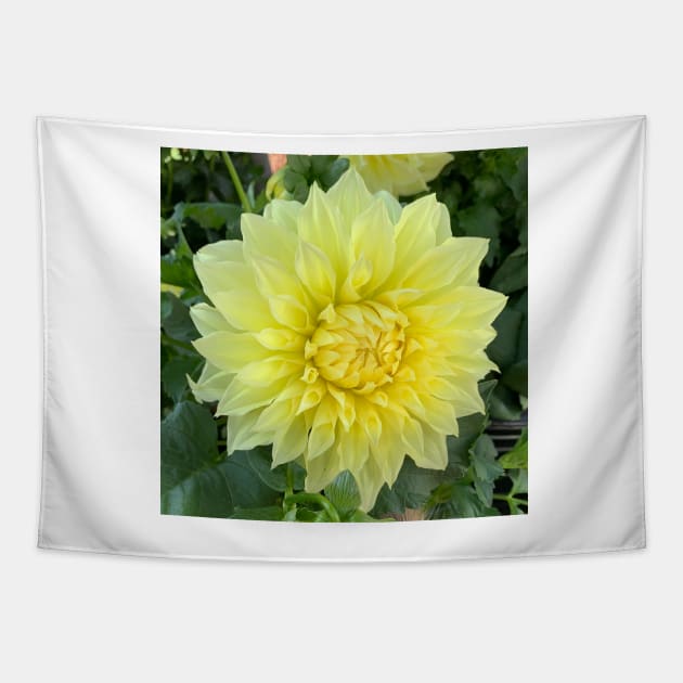 Yellow Dahlia Bloom Tapestry by KirtTisdale