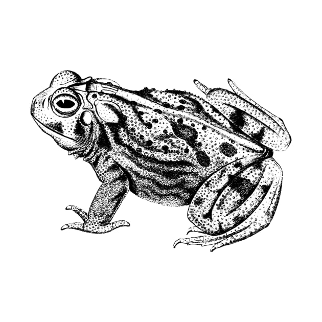 Vintage Toad Sketch by Vintage Sketches