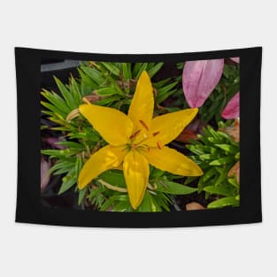 Yellow Star Flower Tapestry