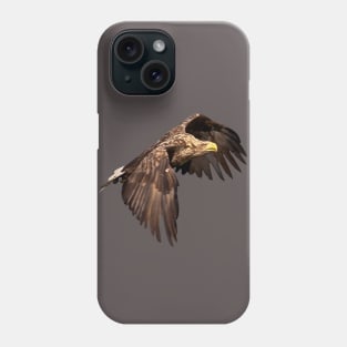 White tailed Eagle Phone Case