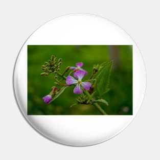 3282016 lavender Pin
