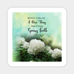 Isaiah 43:19 Behold I Do A New Thing - Bible Verse Scripture White Limelight Hydrangea flowers Magnet