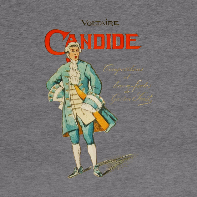 Candide Or Optimism Voltaire Book Cover Candide Hoodie Teepublic