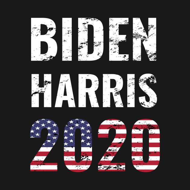 Biden Harris 2020 Election Vote for American President Distress Design by WPKs Design & Co