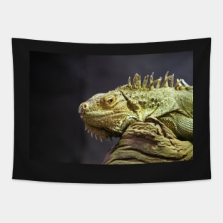 Iguana Tapestry