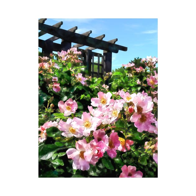 Pink Roses Near Trellis by SusanSavad