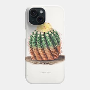 Golden Barrel Cactus (Echinocactus rinaceus) from Iconographie descriptive des cactées by Charles Antoine Lemaire (1801–1871). Phone Case