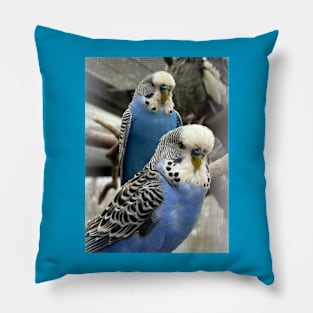 Blue Budgies Pillow