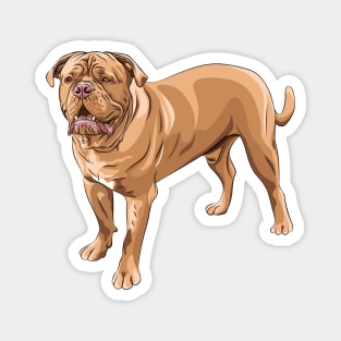 French Mastiff Magnet