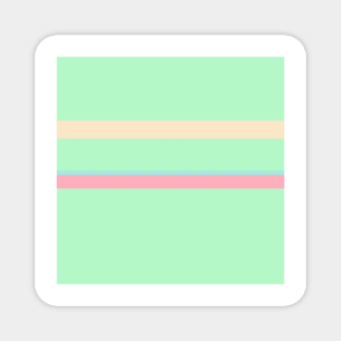 A particular joint of Light Pink, Blue Lagoon, Light Mint and Bisque stripes. Magnet