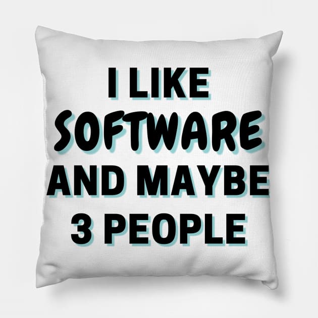 I Like Software And Maybe 3 People Pillow by Word Minimalism