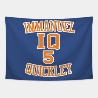 Immanuel Quickley New York Knicks Tapestry