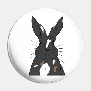 rabbit black gray white brown Pin