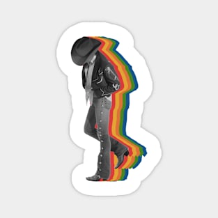 RETRO RAINBOW STYLE DWIGHT YOAKAM Magnet