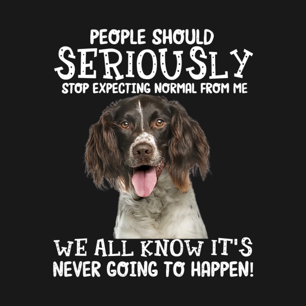 English Springer Spaniel stop expecting normal by Fowlerbg