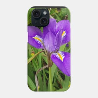 Algerian Iris Phone Case