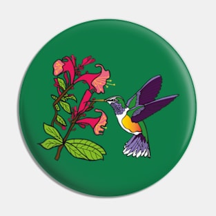 humming bird Pin