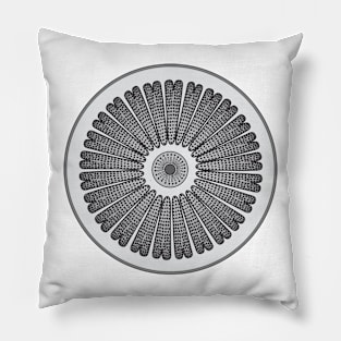 Diatom - Arachnodiscus - Artwork Pillow