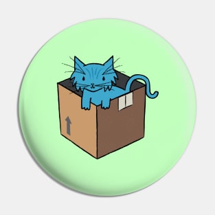 Binky's Box Pin