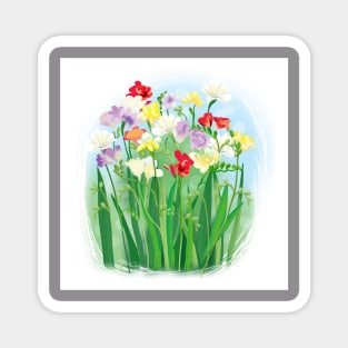 colorful spring flowers - freesia with greenery Magnet