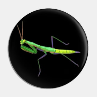 Praying Mantis Pin