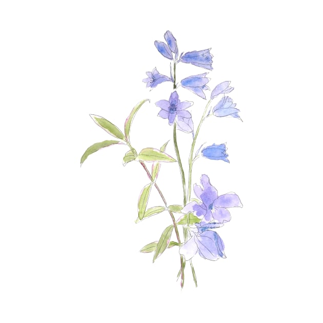 bluebell and violet ink and watercolor by colorandcolor