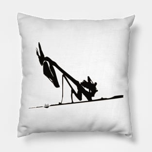 Praying Mantis / Swiss Artwork Photography Pillow