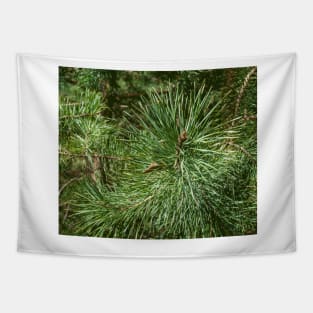 Pine, pine pattern, even as a Christmas motif Tapestry