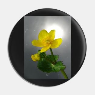 Marsh Marigold Pin