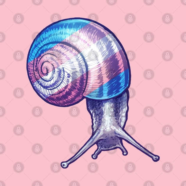 Trans Snail by Merdet