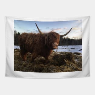 Scottish Highland Cattle Cow 2240 Tapestry