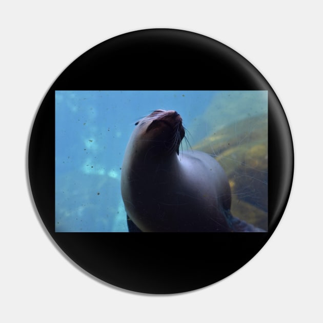 Sea Lion Pin by MarieDarcy